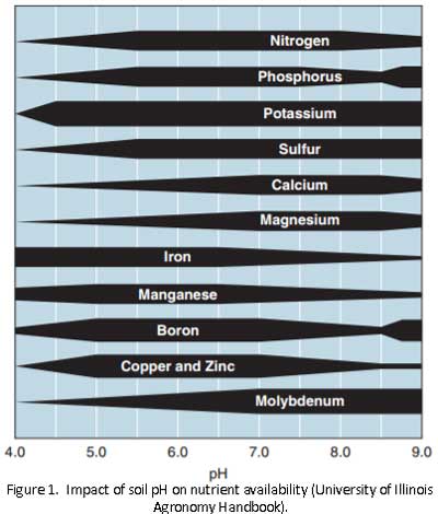 Fig1-Soil-pH.jpg